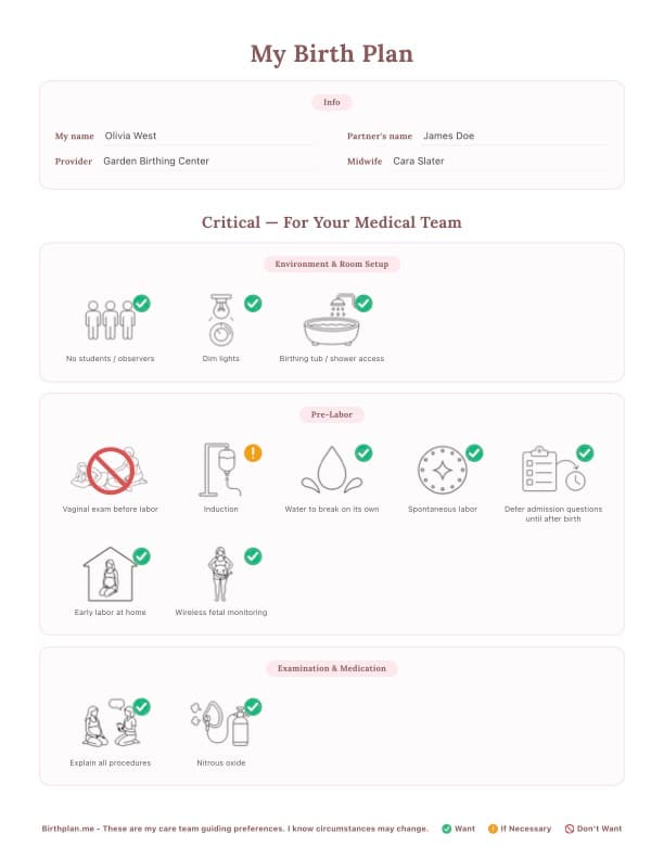 Example birth plan page