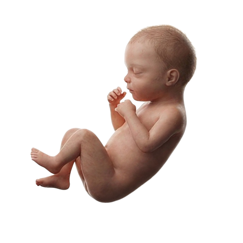 Baby at month 8